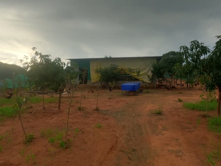 BN Farms gallery